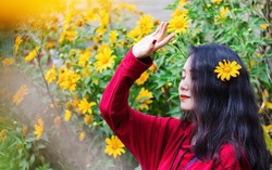 Nhiều trải nghiệm thú vị đón du khách tại Ba Vì
