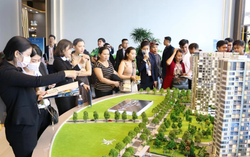 Giá nhà ở đang cao gấp hơn 20 lần thu nhập trung bình của người dân