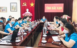 Hơn 4.000 điểm cầu tham dự Hội nghị tập huấn, quán triệt Nghị quyết Đại hội đại biểu Phụ nữ XIII 