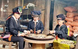 Hỗ trợ cho vay tới 96 tỷ đồng để phát triển vùng trồng dược liệu quý