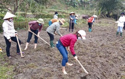 Phụ nữ Hà Giang: Nhiều cách làm hay cải tạo vườn tạp, phát triển kinh tế vườn hộ