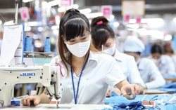 BHXH Việt Nam đẩy nhanh xác nhận cho người lao động hưởng tiền hỗ trợ thuê nhà