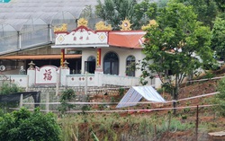 Lâm Đồng:
Nghi án chồng giết vợ chôn xác phi tang tại vườn hồng
