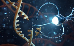 Nanobots có thể chế tạo mọi thứ ở cấp độ nguyên tử