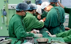Cứu bệnh nhân sốc mất máu nặng do vỡ u gan trái