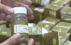 Tràn lan thực phẩm giảm cân "siêu tốc": Coi chừng mất mạng!