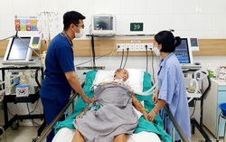 Uống rượu ngâm rễ cây "mú từn" trị xương khớp, bệnh nhân hôn mê, nguy kịch