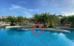 Thêm nhân chứng lên tiếng trong vụ việc bé trai người Nhật bị đuối nước tại resort ở Bình Thuận