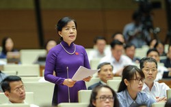 Liệu có những "vụ Việt Á" trong lựa chọn sách giáo khoa không?