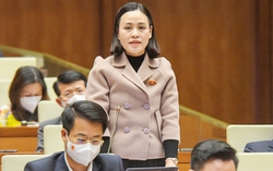 Sớm hoàn thiện, bổ sung dự án Luật BHYT (sửa đổi) vào chương trình xây dựng luật, pháp lệnh