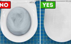 3 lý do nên đậy nắp bồn cầu khi xả nước