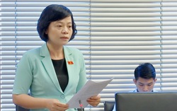 Liên tiếp các vụ tự tử, đại biểu Quốc hội đề nghị quan tâm chăm sóc sức khỏe tâm thần cho người dân