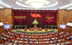 Ngày làm việc thứ hai Hội nghị Trung ương 5 khóa XIII