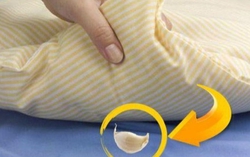 Đặt tỏi dưới gối trước khi đi ngủ, điều kỳ diệu sẽ xảy ra