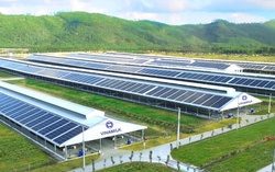 Vinamilk tập trung đẩy mạnh xây dựng mô hình phát triển bền vững trong ngành sữa