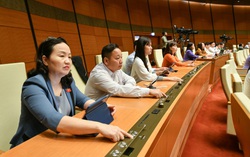 Quốc hội thông qua Luật Điện ảnh (sửa đổi): Tiền kiểm kết hợp với hậu kiểm với phim trên mạng