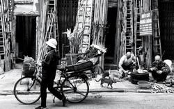Hà Nội qua những bức ảnh đen trắng chụp bằng điện thoại