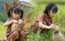 Bé gái thủ đô trải nghiệm đẩy xe lúa, đeo rọ đi bắt cua đồng