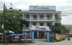 Bắt nữ cán bộ ngân hàng chiếm đoạt tiền của gần 100 khách hàng