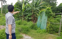 Hải Dương: Dân tố người nhà cán bộ xã "ôm" 9ha đất quai đê lấn triều của hàng ngàn người