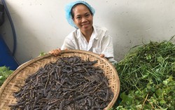 Dù đi ngược dòng nhưng vẫn kiên trì "đeo bám" để lan tỏa giá trị xanh