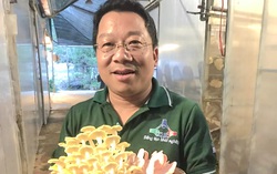 4 điều cần biết để khởi nghiệp thành công