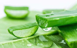 Chốc lở gia tăng khi vào hè: Làm sao để cải thiện tình trạng mụn?