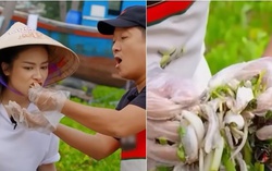 Trường Giang làm 2 người đẹp mê tít với món gỏi ngon