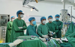 TPHCM: 3 bệnh viện triển khai phần mềm tiếp nhận, quản lý, điều phối mô tạng hiến