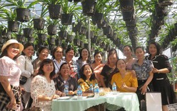 Khích lệ phụ nữ đam mê sáng tạo và làm kinh tế