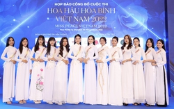 Tranh chấp tên gọi “Hoa hậu Hòa bình Việt Nam”, Viện Sở hữu trí tuệ công bố giám định