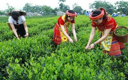 Phấn đấu "Vì một Việt Nam không còn đói nghèo"