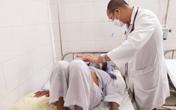 Đi du lịch về, người phụ nữ sốt cao, nguy kịch vì bị muỗi đốt