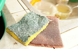 7 thứ trong nhà bếp là ổ chứa vi khuẩn đang âm thầm hại cả nhà bạn