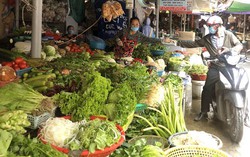 Người nội trợ "chóng mặt" vì thực phẩm tăng giá đồng loạt