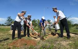 Phụ nữ Vùng 5 Hải Quân: “Mỗi phụ nữ một cây xanh” 