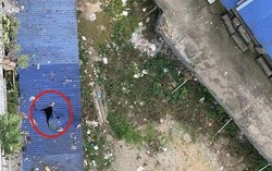 Xác định nguyên nhân người đàn ông rơi từ tầng 11 chung cư xuống dưới tử vong