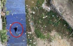 Vụ người đàn ông rơi từ tầng 11 chung cư: Không có dấu hiệu tội phạm