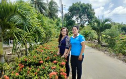 Làm đẹp cảnh quan với giống cây chịu được nắng hạn và ngập úng
