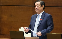 "Câu chuyện được mùa mất giá như một lời nguyền"