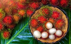 5 nhóm người không nên ăn loại quả có thể hỗ trợ phòng ngừa ung thư 