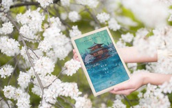 Cuốn tiểu thuyết xoay quanh vụ phóng hỏa di sản nổi tiếng ở Nhật Bản