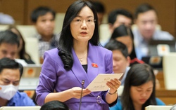 Đừng để thị trường bất động sản "mất bò rồi mà vẫn không dám lo làm lại chuồng"
