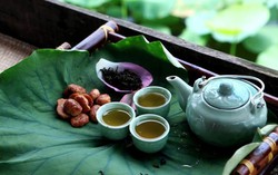 4 lưu ý khi dùng loại lá chữa gan nhiễm mỡ, giảm mỡ máu và ổn định đường huyết