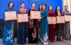 6 hạng mục của giải thưởng “Thực hiện nguyên tắc trao quyền cho phụ nữ” năm 2022