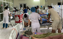 Ăn canh lòng cá trắm nấu rau rừng, 8 người trong gia đình nhập viện cấp cứu