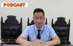 Vụ bé gái 8 tuổi bị bạo hành tử vong: Luật sư cho rằng cần thay đổi tội danh của người bố