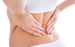 Vùng cơ thể chỉ bé bằng lòng bàn tay nhưng có thể điều chỉnh 90% bệnh của phụ nữ và nam giới