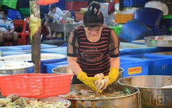 TPHCM: 6 năm xử phạt hơn 7.000 cơ sở vi phạm an toàn thực phẩm