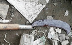 Con tâm thần chém mẹ tử vong trong đêm